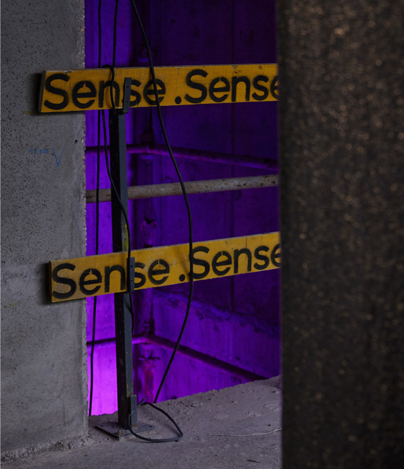 sense-15